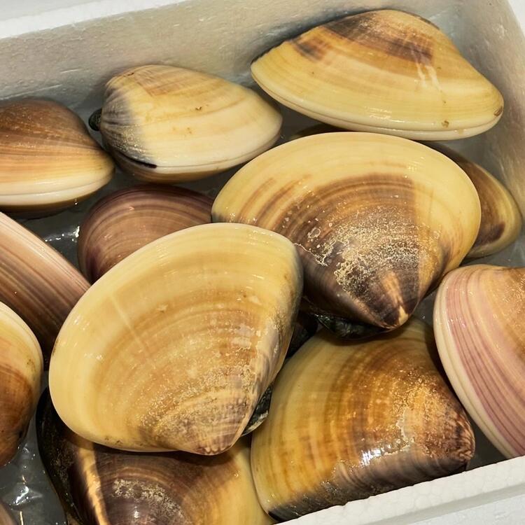 本物の美味しさを届けます！