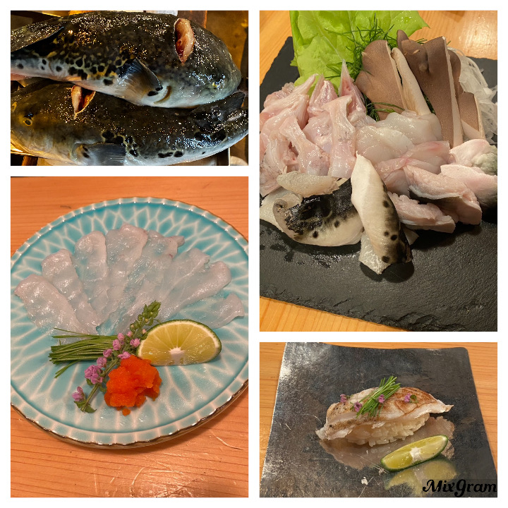 10月から始まる魚輝とらふぐコース