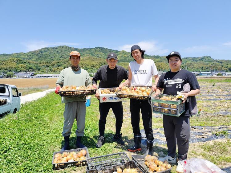 糸島の農家さんの基で農業体験♪