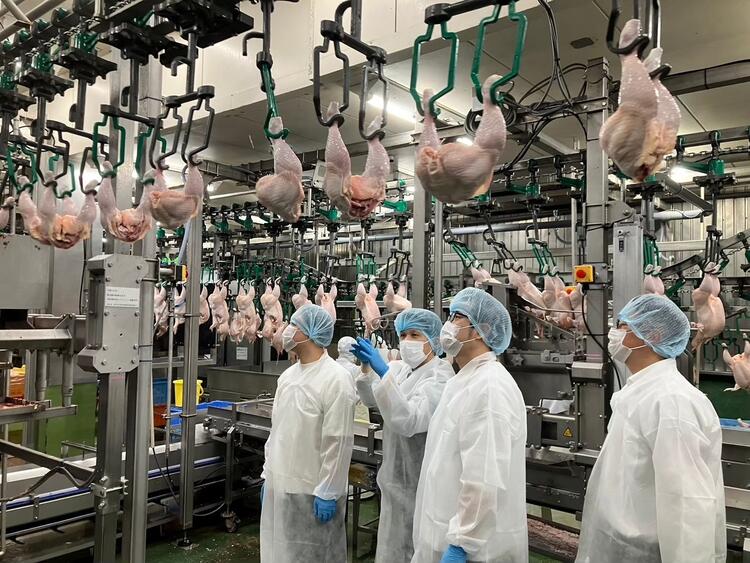 「黒かしわ」や「長州どり」を作る深川養鶏