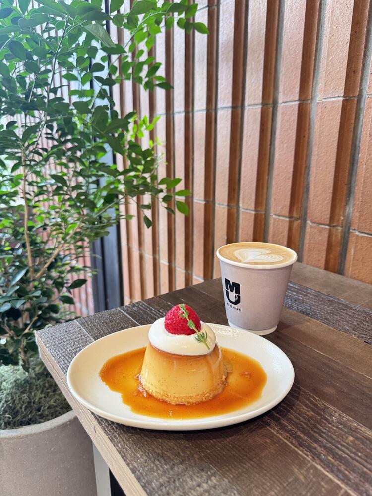 イチからのメンバー募集です★