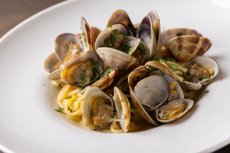 CLASSICAL PASTAの詳細画像2