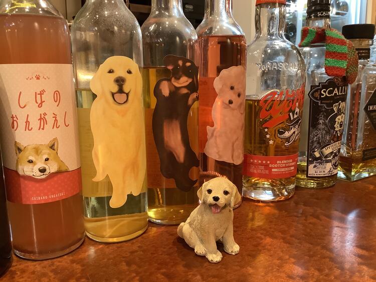 犬好き集まってます