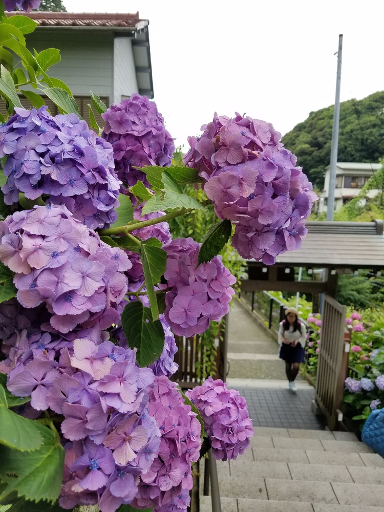 阿部彩子
