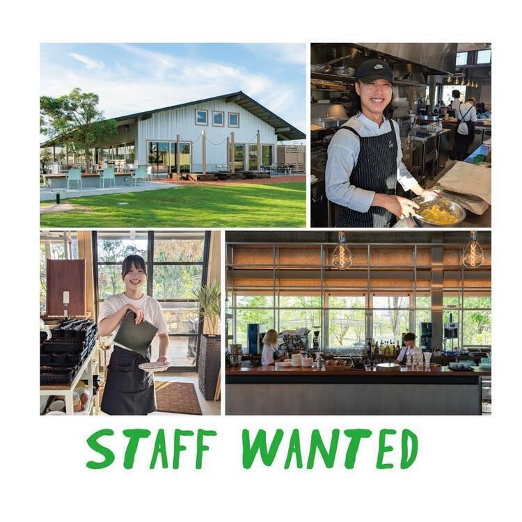 ピザ職人を積極採用中★