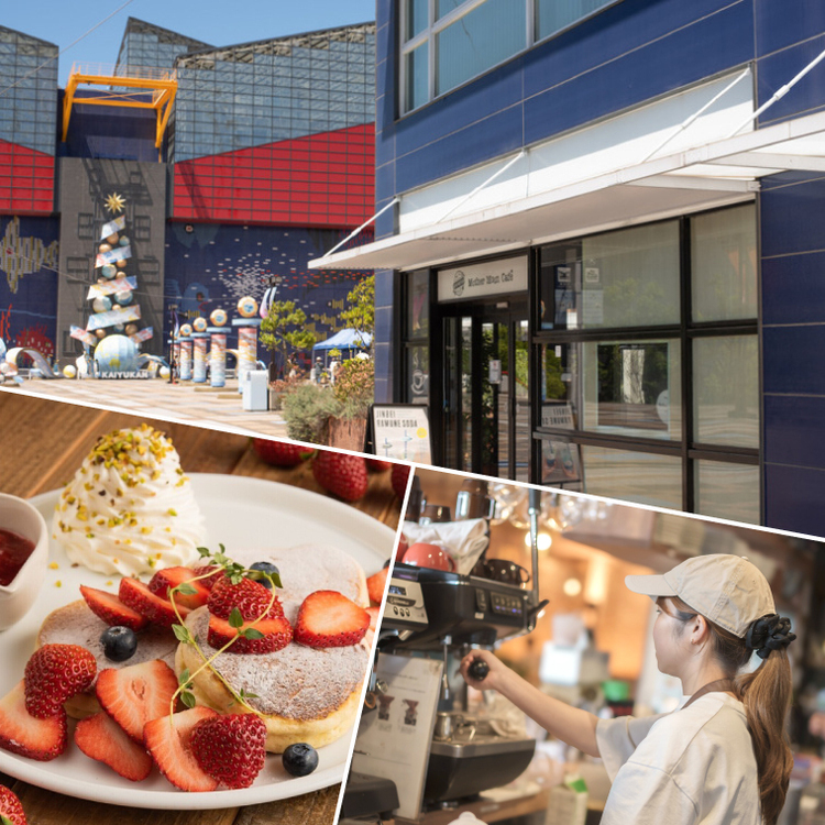 海遊館への道沿いにある大注目の立地🐋