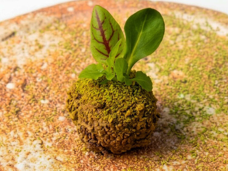 苔玉をモチーフにしたレバーパテ