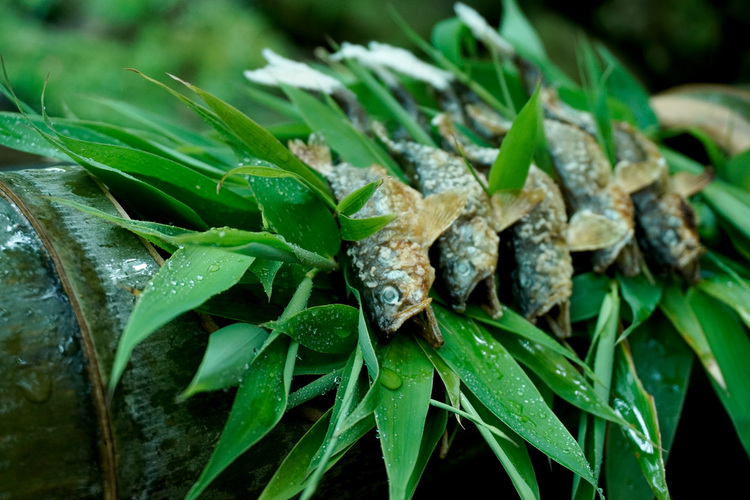 旬の命を活かし、料理で文化を届ける。