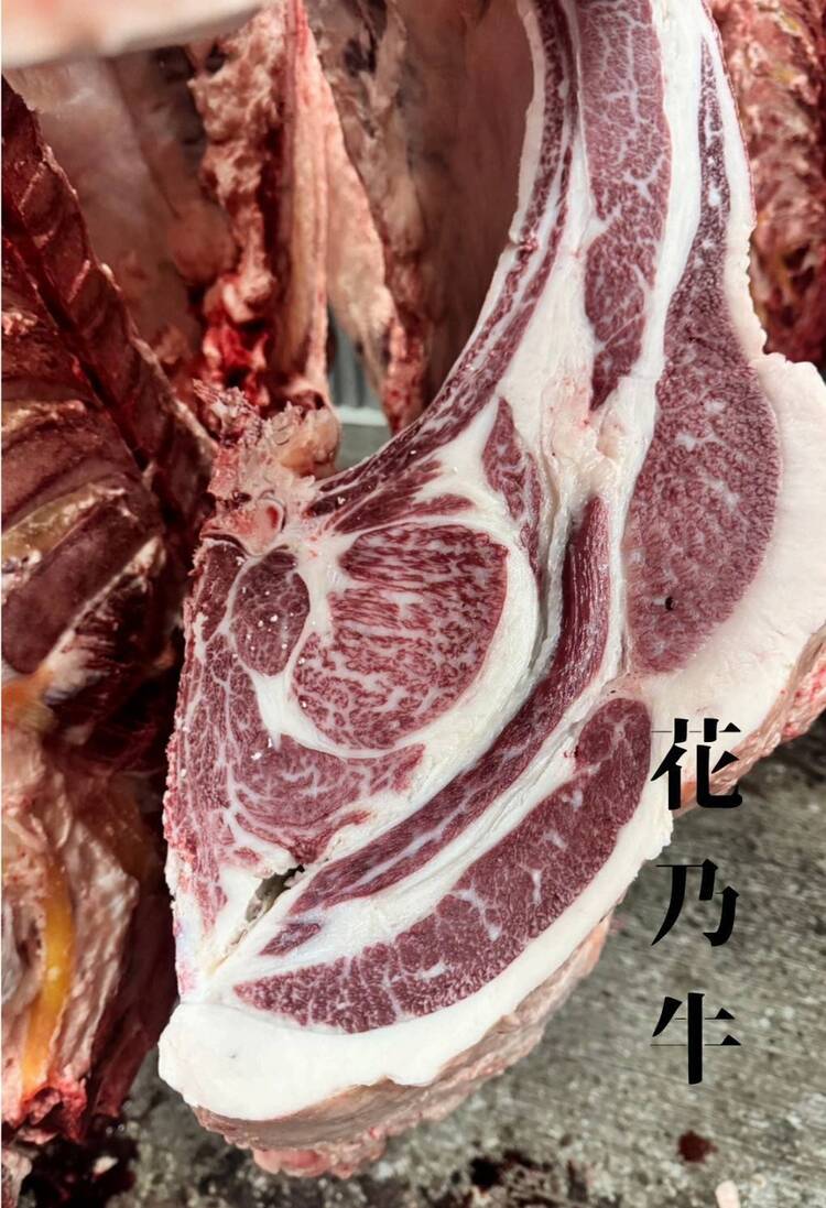 「花乃牛」などブランド牛を提供