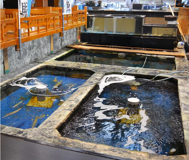 活魚と日本料理 和楽心 橿原神宮店の詳細画像6