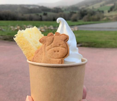 ミルク工房奥越前の詳細画像4