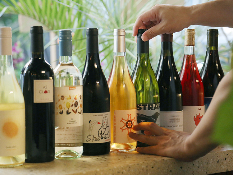 ナチュラルワインにも詳しくなれます♪