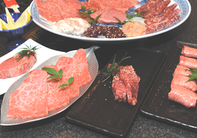 あなたの挑戦を全力でサポートします！