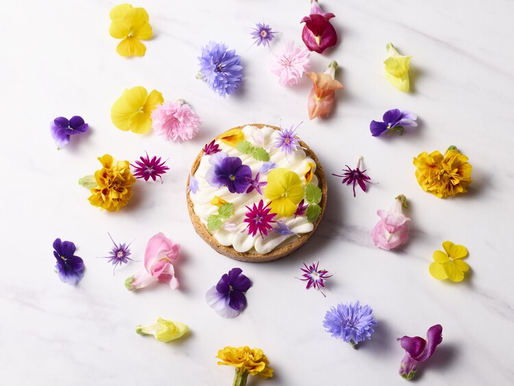 Sillage（シヤージュ）の詳細画像5