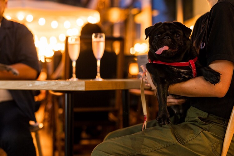 生産者に直接訪問して選び抜いた厳選食材