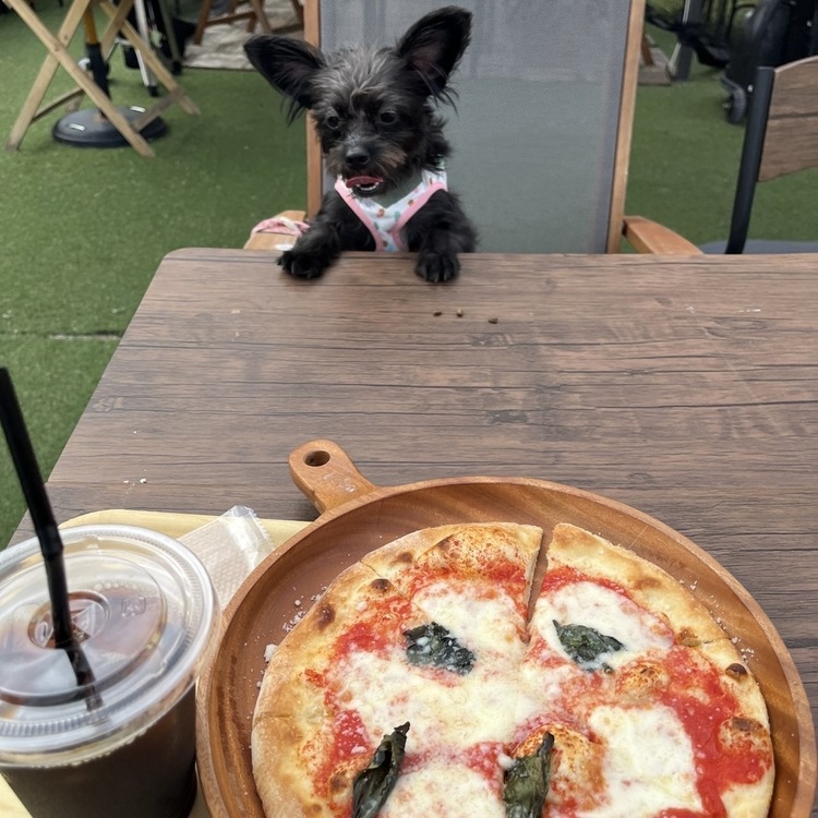 テラス席も完備！わんちゃんもOKです