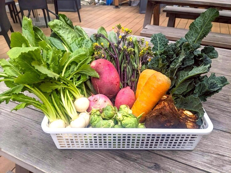 改めて地元野菜の魅力を実感◎