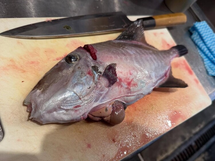 魚を捌くノウハウも一からしっかり教えます