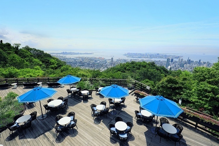 今春、森の中に浮かぶ4つのエリアが登場