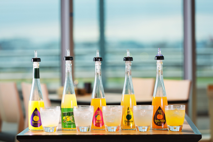 竹乃屋 福岡空港店 滑走路を眺めながら楽しめるメニュー豊富な居酒屋 の求人情報 求人 飲食店 Com