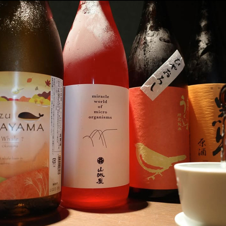 魚料理と相性の良いお酒を多数ご用意!