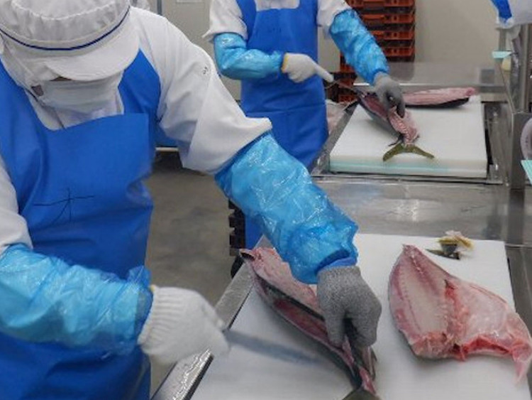 経験なしでもOK！サポート体制充実！