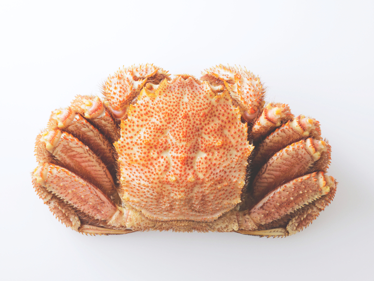 四季折々の旬の食材を使用します♪