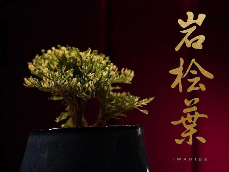 「負けない心」という花言葉を店名に。