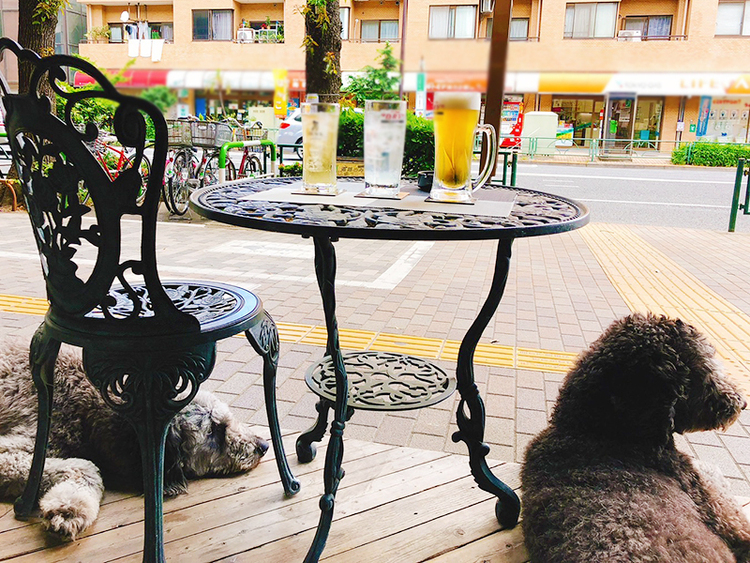ワンちゃん入店ＯＫ◎テラス席も人気！
