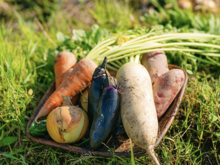 八百屋とごはん むかいの詳細画像5