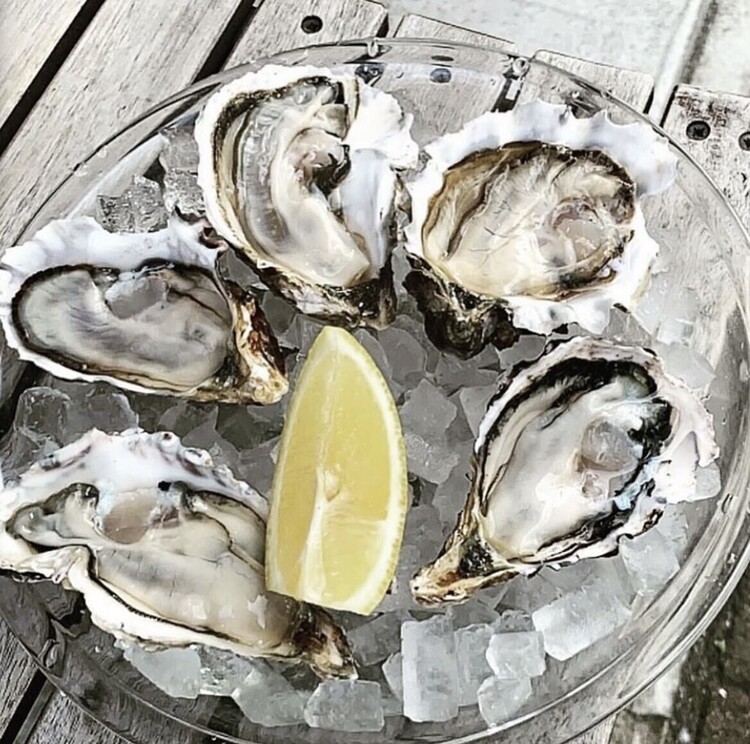 牡蠣・炉端焼き・おばんざいが人気！