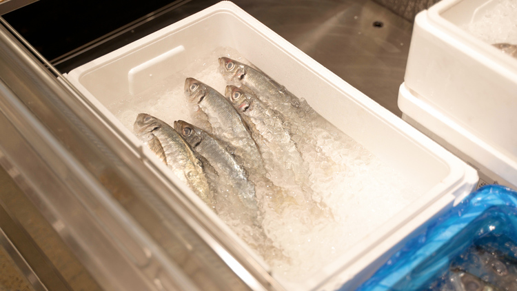 桜鮨㐂の詳細画像6