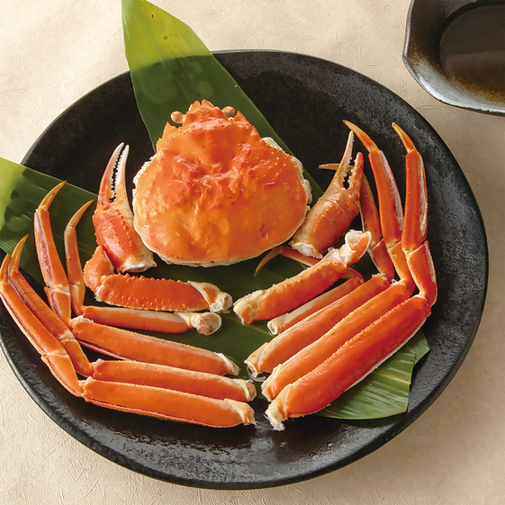 ★ご応募お待ちしております★