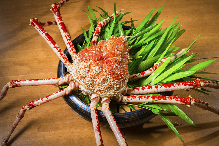 「ありがとう」の心で人・食材に感謝する文