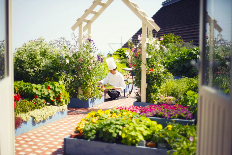 ハーブ園内でのお仕事してみませんか🌼