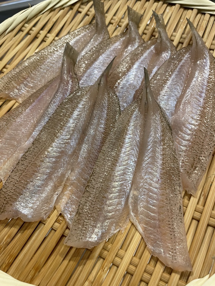 魚介は毎朝豊洲市場から仕入れています！