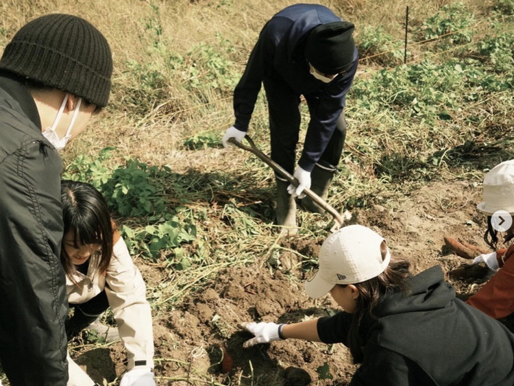 八百屋とごはん むかいの詳細画像6