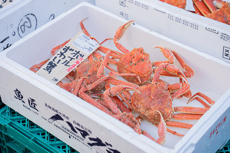 浜の玄太丸 新綱島店（仮）の詳細画像2