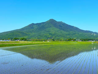 茨城県つくば市の雄大な自然の中働けます