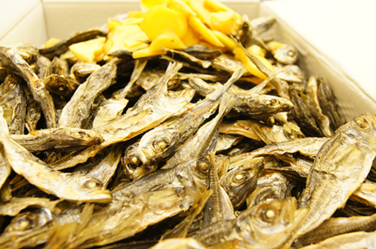 2代目の現店主から職人技を学びませんか？