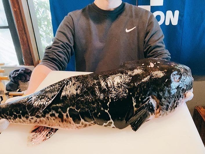 フグの調理など、専門知識も学べます。