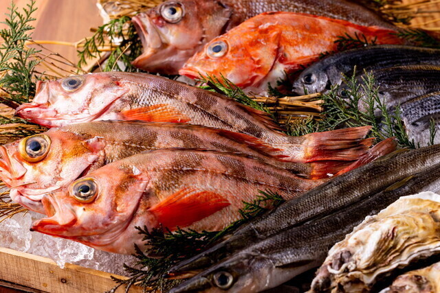 成長を実感できる場が多数！