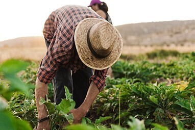 5〜10年を目途に、地方共創モデルを確立