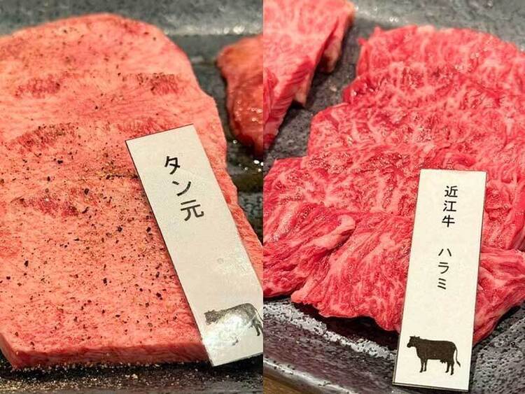 お気軽にご応募ください！