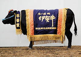 居酒屋ＡＪＩＴＯ