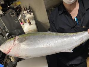 日本酒と生牡蠣 赤坂ソネマリ