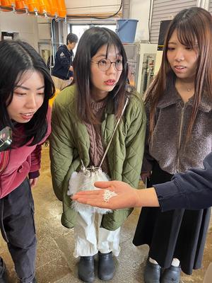日本酒青い林檎