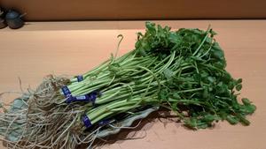 黒毛和牛と海鮮　なかた