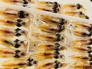 酒ありき肴　与一