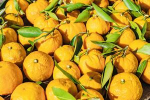 酒ありき肴　与一